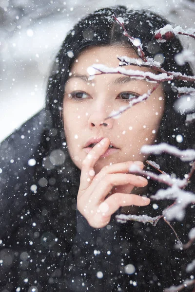 Karlı Çalı Dalları Olan Esmer Bir Kadının Portresini Kapat Stok Fotoğraf