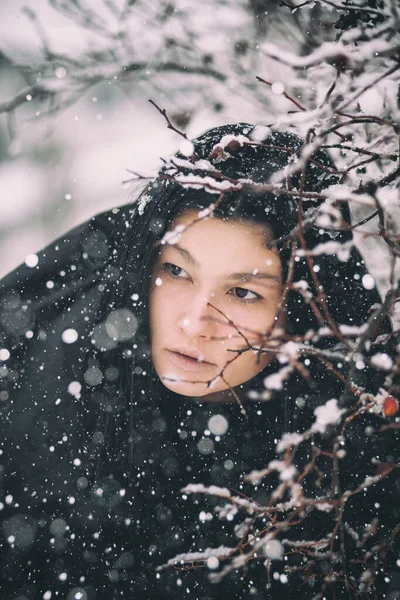 Beautiful Young Woman Posing Snowy Bush Stock Picture