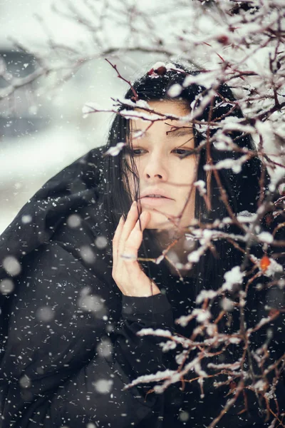 Dame Brune Avec Main Sur Visage Derrière Buisson Neigeux Images De Stock Libres De Droits