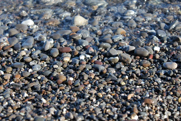 Сolorful pebbles on a beach — Stock Photo, Image
