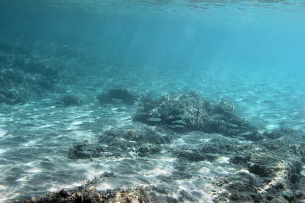 Підводний постріл, що показує чисту блакитну воду Ліцензійні Стокові Фото