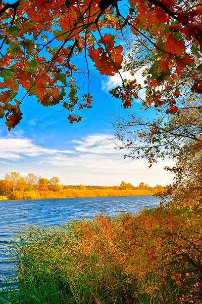 Herfst aan het meer Stockfoto