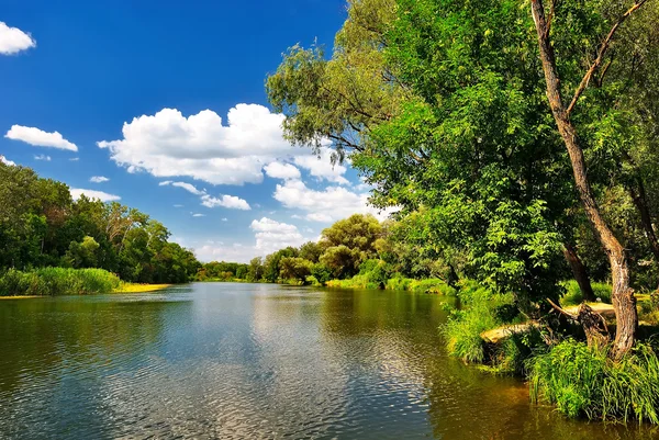 Sommertag auf dem schönen Fluss — Stockfoto