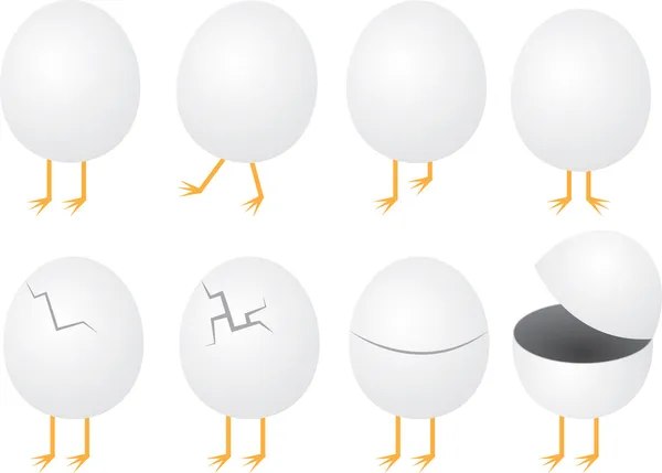 鸡蛋与脚 — 图库矢量图片