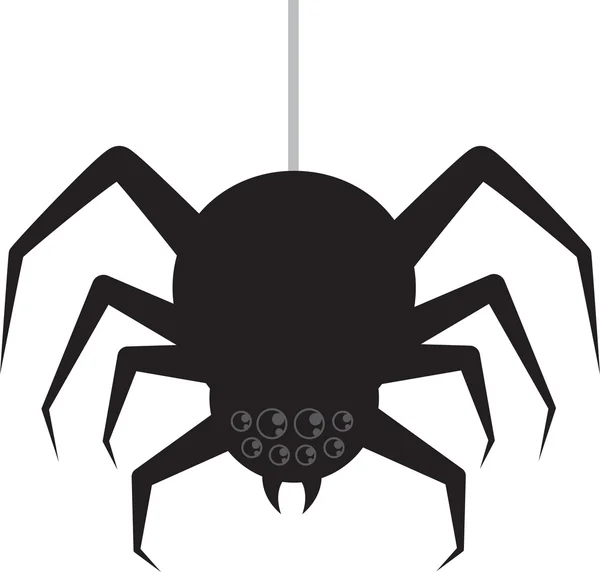 Spider Hanging — Stock Vector