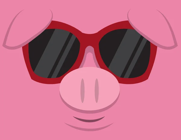 Cool Pig óculos de sol —  Vetores de Stock