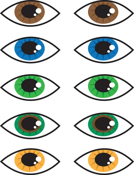 Eye Colors — Stock Vector