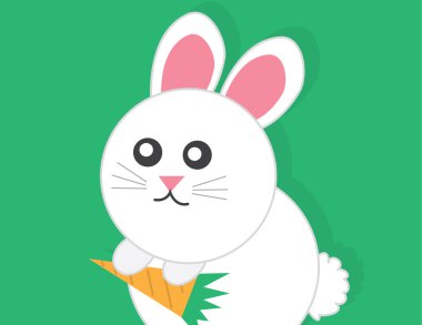 Bunny holding havuç