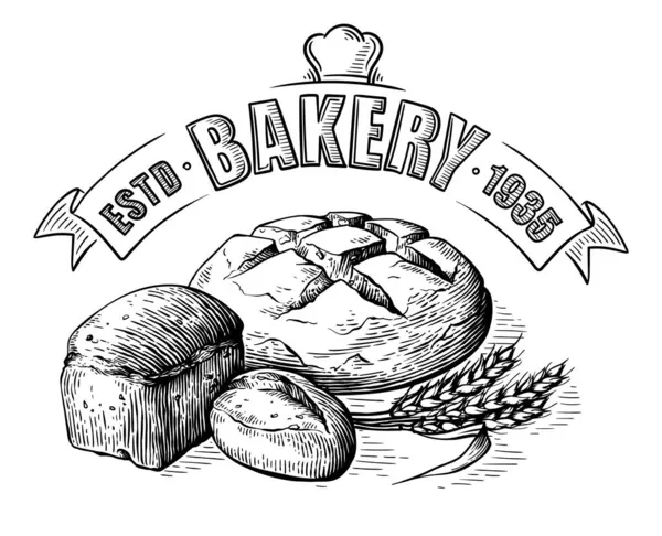 Brood vector hand getekend set illustratie. Andere soorten tarwe, bloem vers brood. Gluten food bakkerij gegraveerde collectie — Stockvector