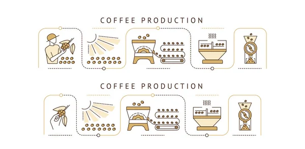 Instrukcje krok po kroku dotyczące przygotowywania kawy, począwszy od zbiorów, a skończywszy na gotowym napoju; — Wektor stockowy