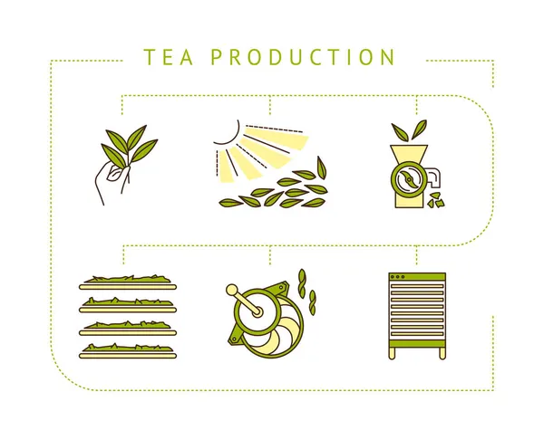 A tea készítésének folyamata szakaszonként — Stock Vector