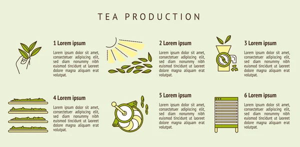 El proceso de hacer té por etapas — Vector de stock