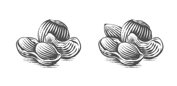 Tuerca conjunto logo Dibujo a mano grabado ilustración estilo — Vector de stock