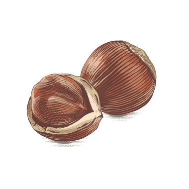 Filbert Hand işlemeli suluboya çizim tarzını aç