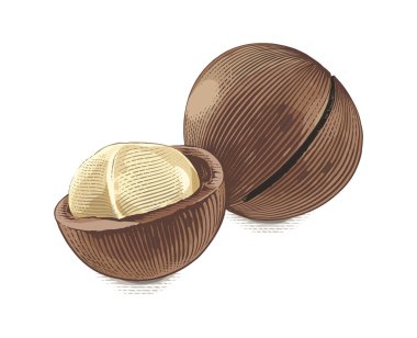 Macadamia El, kabartma suluboya çizim biçimi