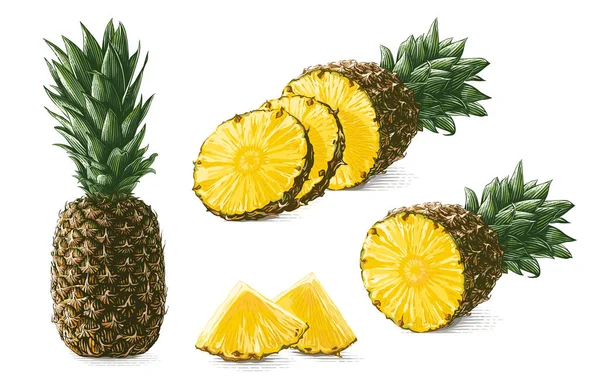 Ananas colorat Desen de mână schiță gravură stil ilustrare — Vector de stoc