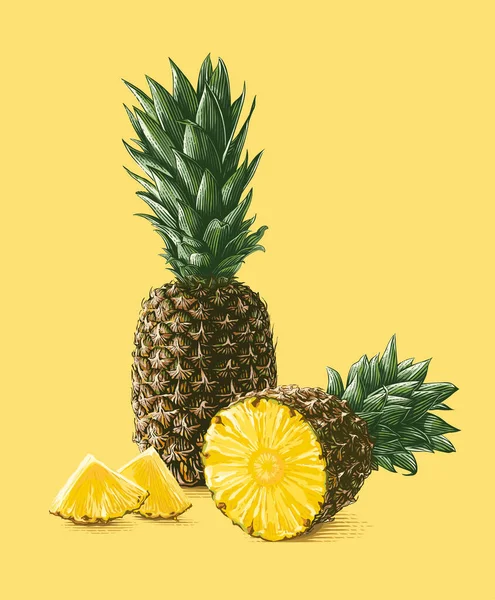 Színes ananász Kézrajz vázlat metszet illusztráció stílus — Stock Vector