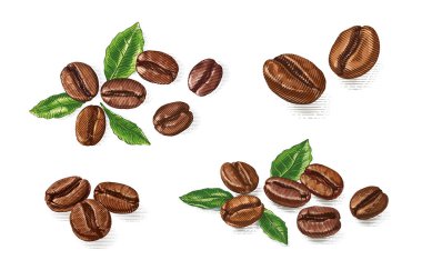 Renkli kahve çekirdekleri. El, kabartma çizim stili.