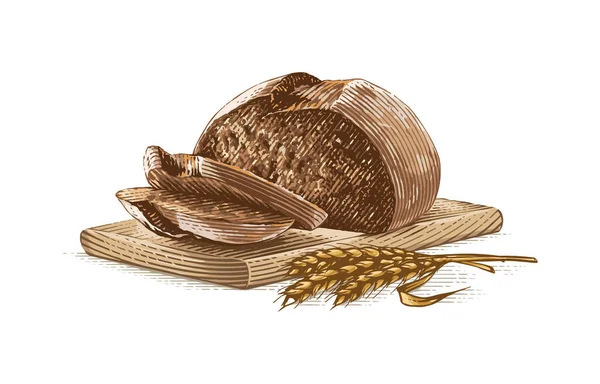 Kolorowy krojony chleb kompozycja Ręczny rysunek szkic grawerowanie ilustracja styl — Wektor stockowy