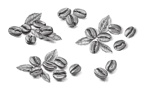 Set kávébab kézi rajz vázlat metszet illusztráció stílus — Stock Vector