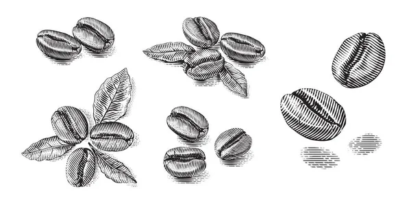 Set grains de café dessin à la main croquis gravure style illustration — Image vectorielle