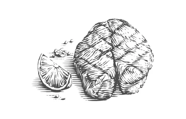 Filete de pescado mano dibujo boceto grabado ilustración estilo — Vector de stock