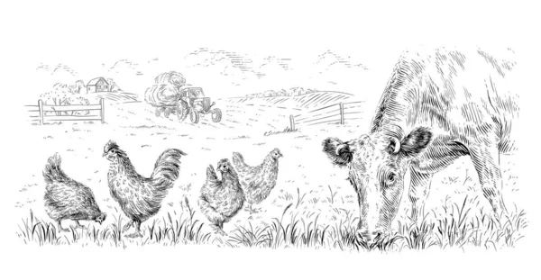 Paisaje rural con animales dibujo a mano boceto grabado ilustración estilo — Vector de stock