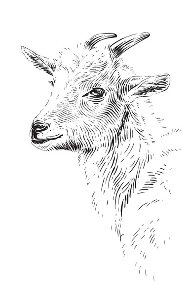 ポートフォリオ Vectorgoods Gmail Com ストック写真 イラストとベクターアート Depositphotos