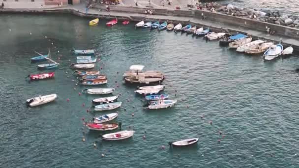 Liguria View Top Tourist Port Vernazza Boats View — Stock video