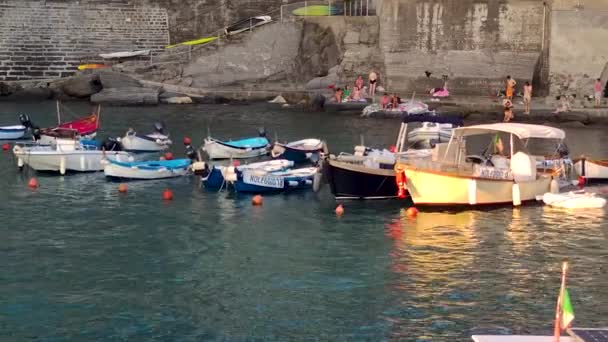 Liguria View Top Tourist Port Vernazza Boats View — Vídeo de Stock