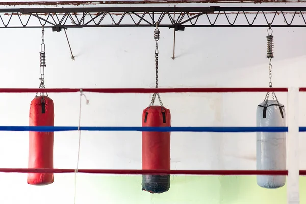 Ginásio Boxe Com Sacos Pendurados Fotografia Esportiva Preto Branco — Fotografia de Stock