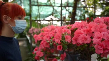 Bir serada maske takmış kızıl saçlı bir kız çiçeklere doğru eğilir ve koklamak için maskesini çıkarır. Yavaş çekim videosu