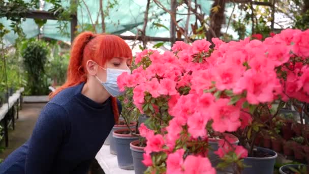 Een roodharig meisje met een medisch masker in een kas inhaleert de geur van azalea 's bloemen. Inzoomen in slow motion video — Stockvideo