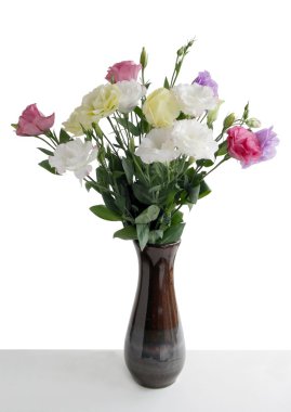 çok renkli çiçek eustoma vecize