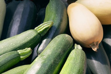Yeşil zucchinies ve sarı kabak