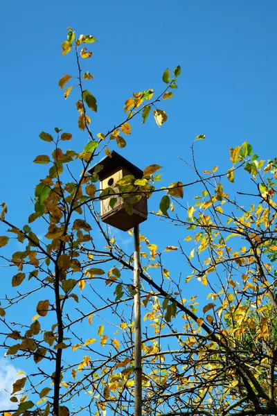 Casa de pássaros de madeira pequena — Fotografia de Stock