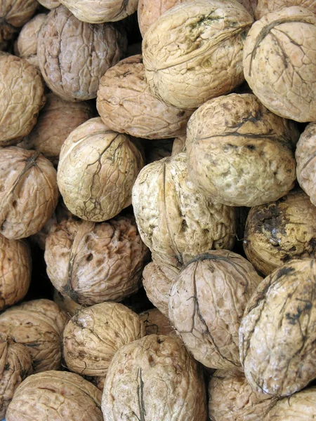 Свежие полезные орехи — стоковое фото