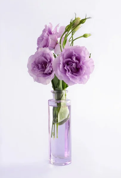 Wiązanka kwiatów eustoma lila w szkło odpadu — Zdjęcie stockowe