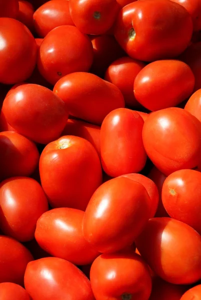 Tomates vermelhos e saborosos — Fotografia de Stock