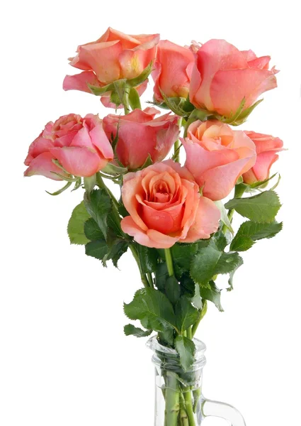 Пози из розовых роз — стоковое фото