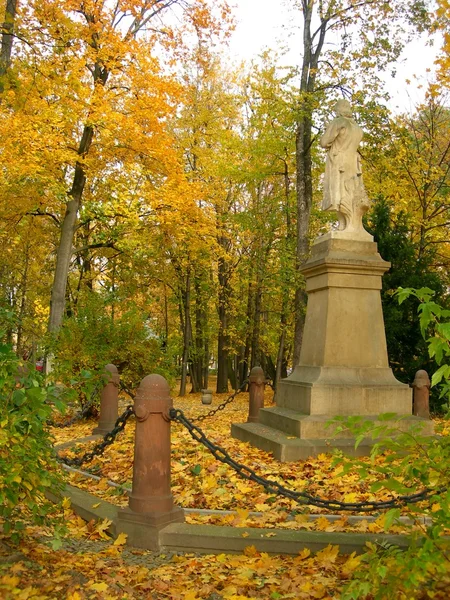 Pěkný zlatý podzim v parku — Stock fotografie