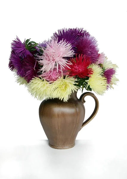 Multicolor asters in ceramic jug — Stock Photo, Image