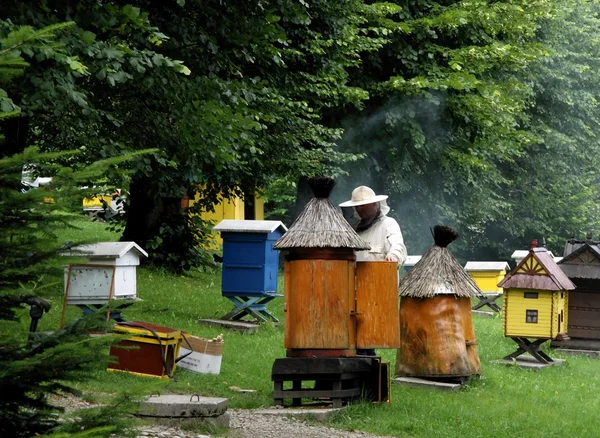 Beekeeper working in apiary — Stock Photo, Image