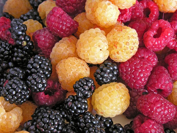 Multicolor raspberries — Stock Photo, Image