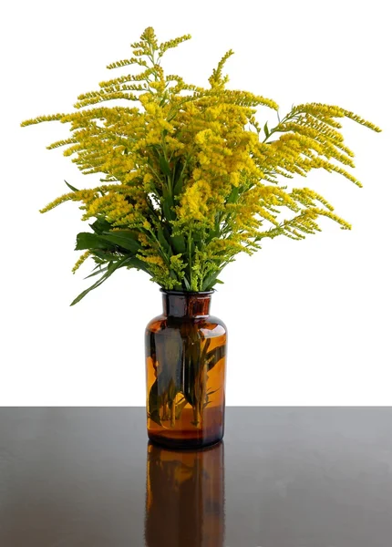 Blommande gyllene stav i brun flaska — Stockfoto