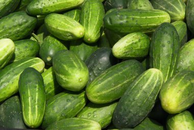 pepinos crudos verdes