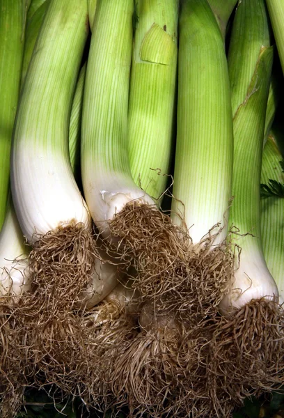 ネギのピリ辛野菜として — ストック写真