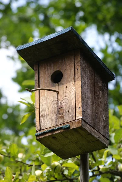 Canil de reprodução para aves pequenas — Fotografia de Stock