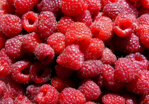 Red,tasty and sweet raspberries close up — Stock Photo, Image