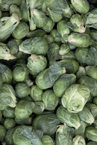 Brussel sprouts as tasty vegetable — Stock Photo, Image